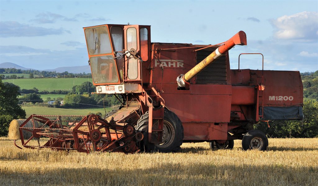 Image source: Shane Casey