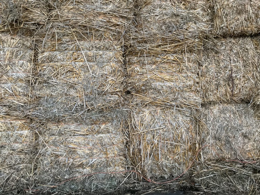 Some of the miscanthus bales in storage
