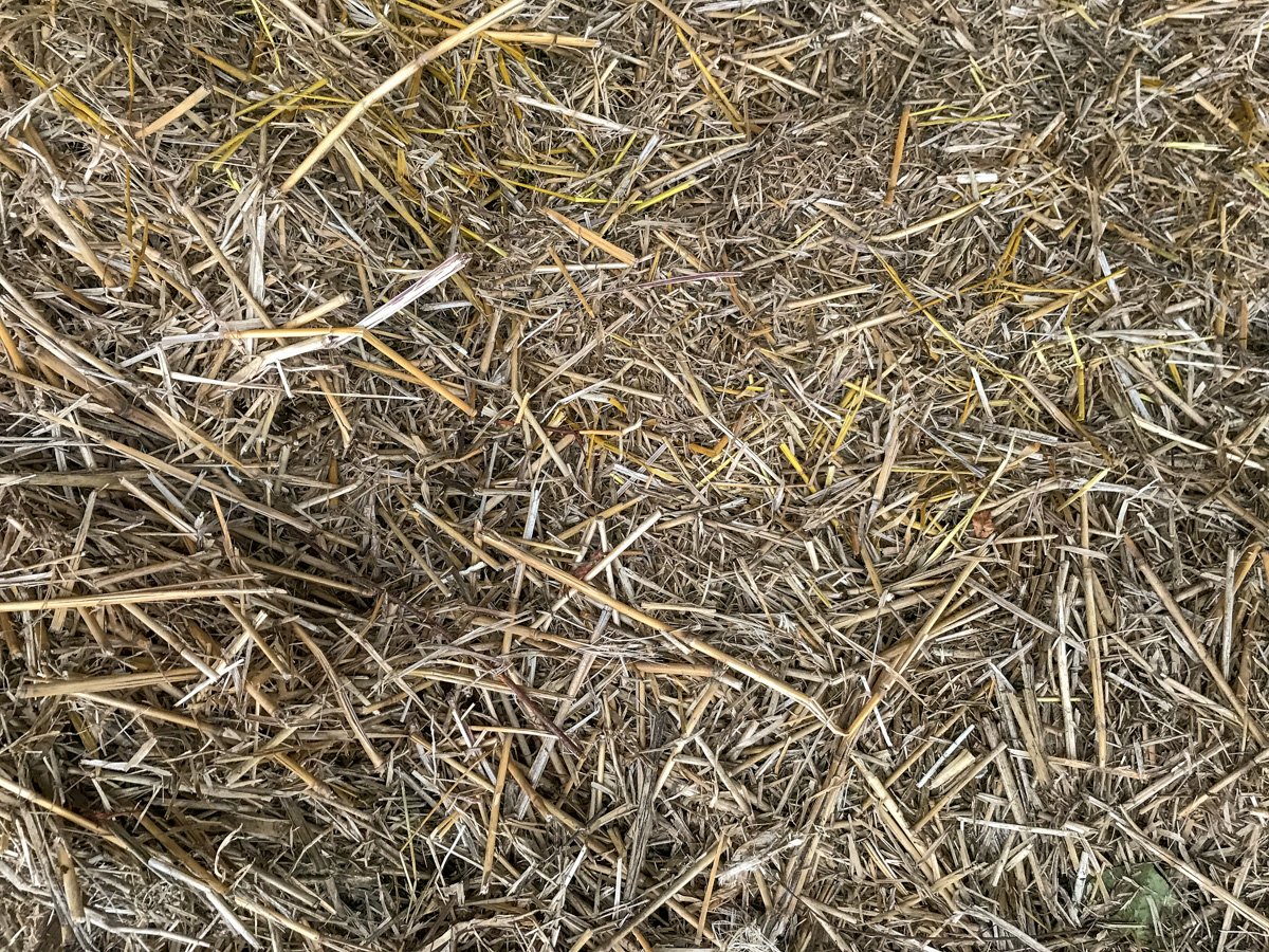 The miscanthus bales are a mixture of very fine material and canes