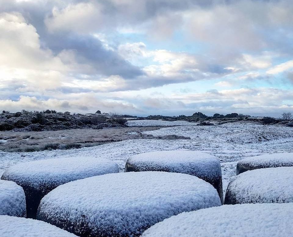 Image source: Lauren McCulla