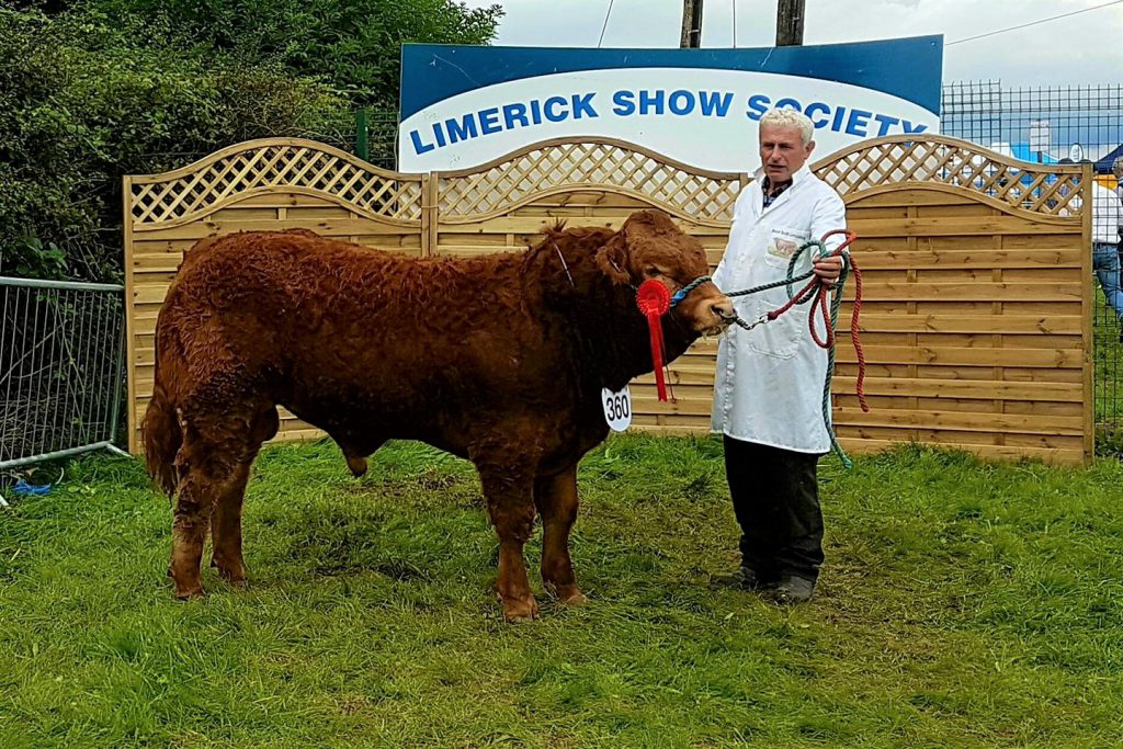 Micheal Sexton with Lifeboy, who came first in his class at the Limerick show earlier this year