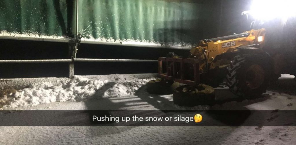 Image source: Heather Martin