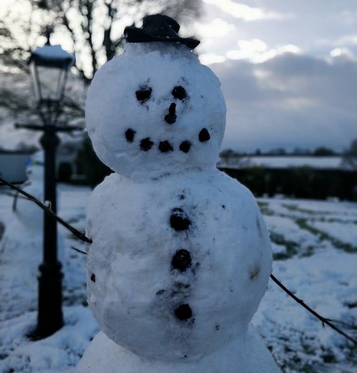 Image source: Matthew Ogden