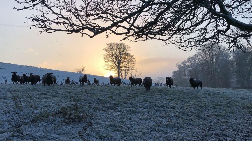 Image source: Christopher Gill