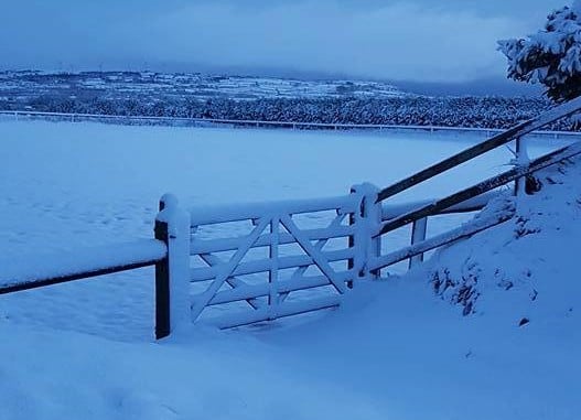 Image source: Kirsty Marsden