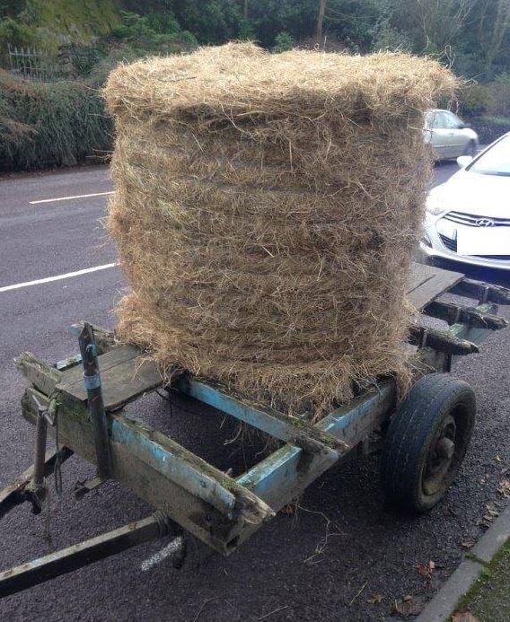 Image source: Garda Twitter