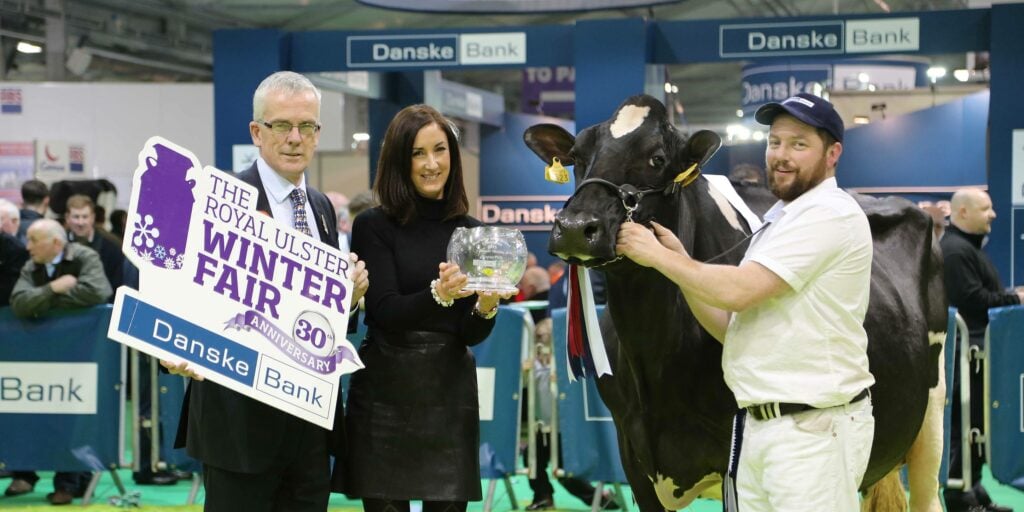 Evergreen Duplex Ebony Supreme and Interbreed Champion at the 2015 Royal Ulster Winter Fair