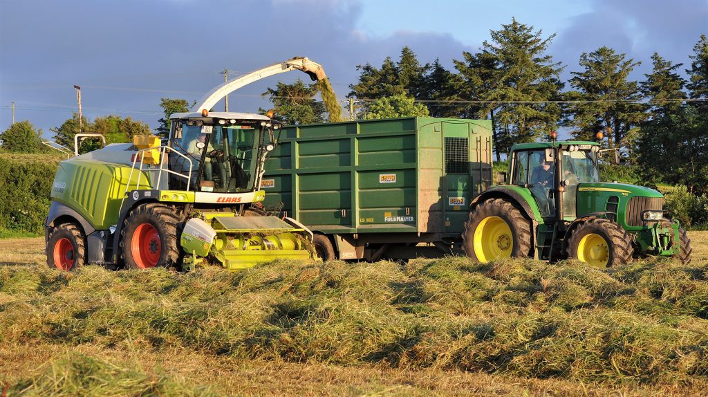 Image source: Shane Casey