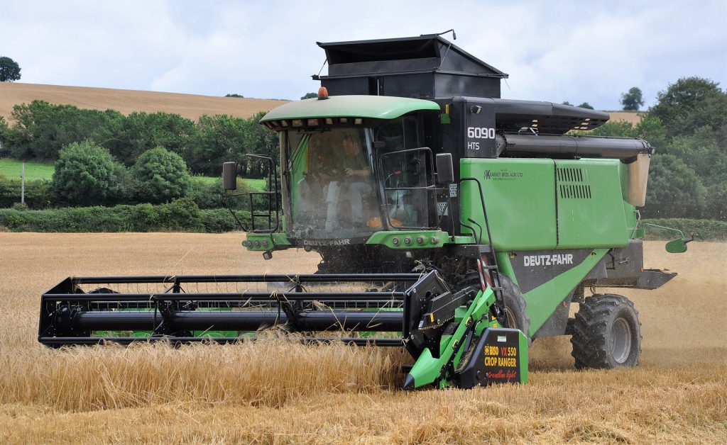 Image source: Shane Casey