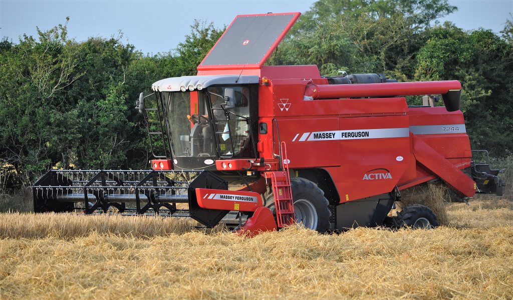 Image source: Shane Casey