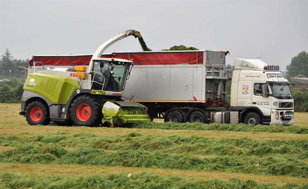 Image source: Shane Casey