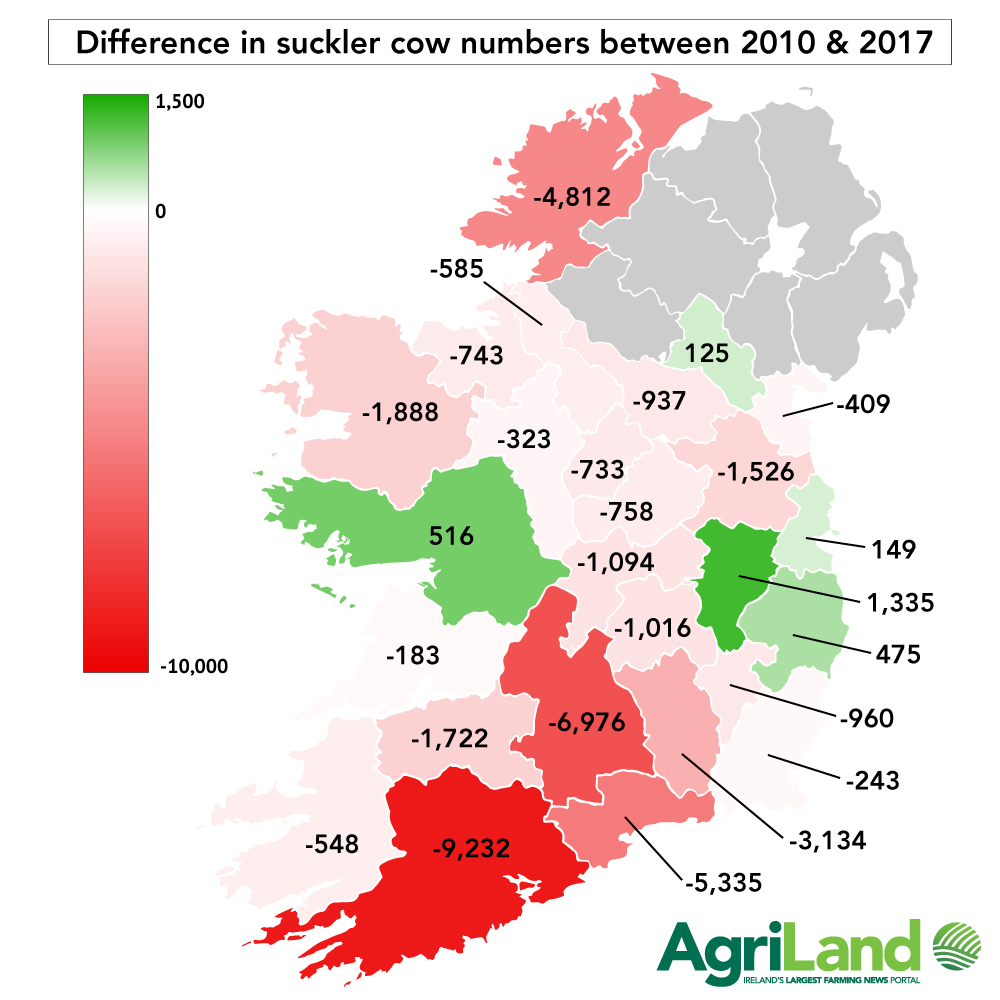 Suckler defined as beef/beef cross female that was >= 18 months on December 31 and is registered as the Dam of a calf born in the profile year