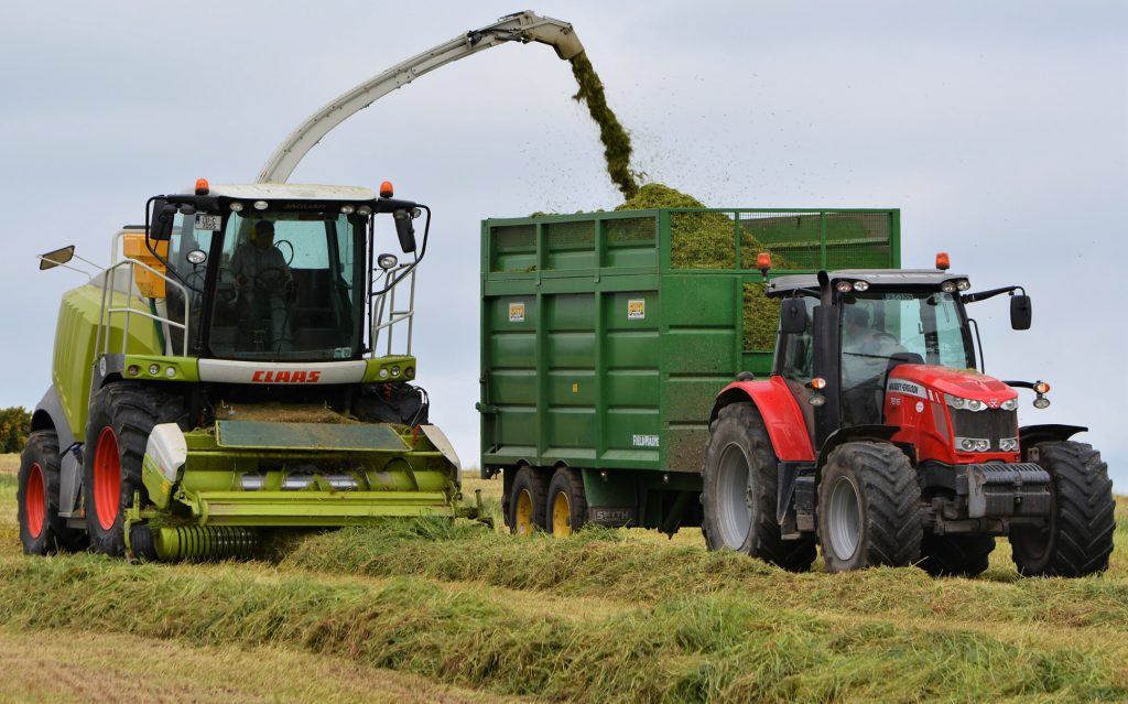 Image source: Shane Casey