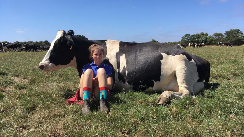Rachel Dickson, Emu Banks