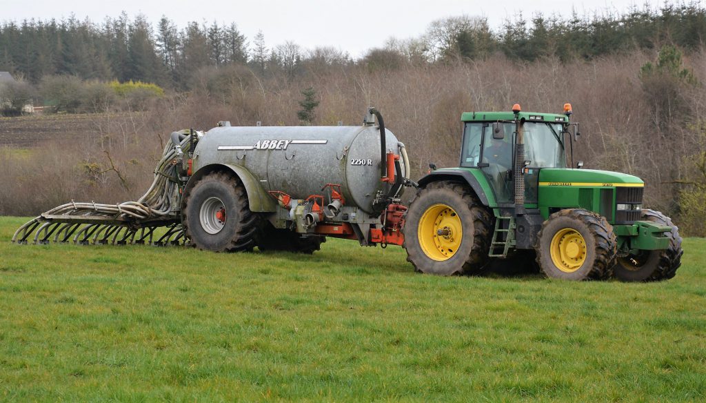 Image source: Shane Casey