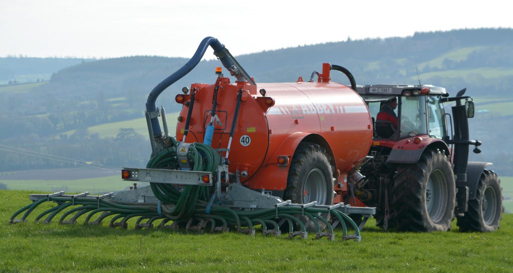 Image source: Shane Casey