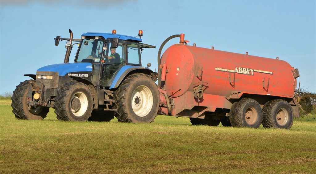 Image source: Shane Casey