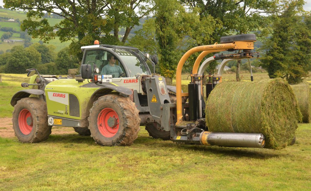 Image source: Shane Casey