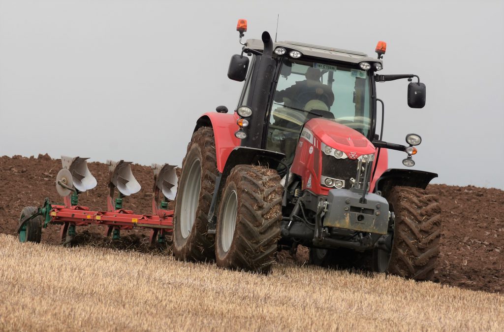 Image source: Shane Casey