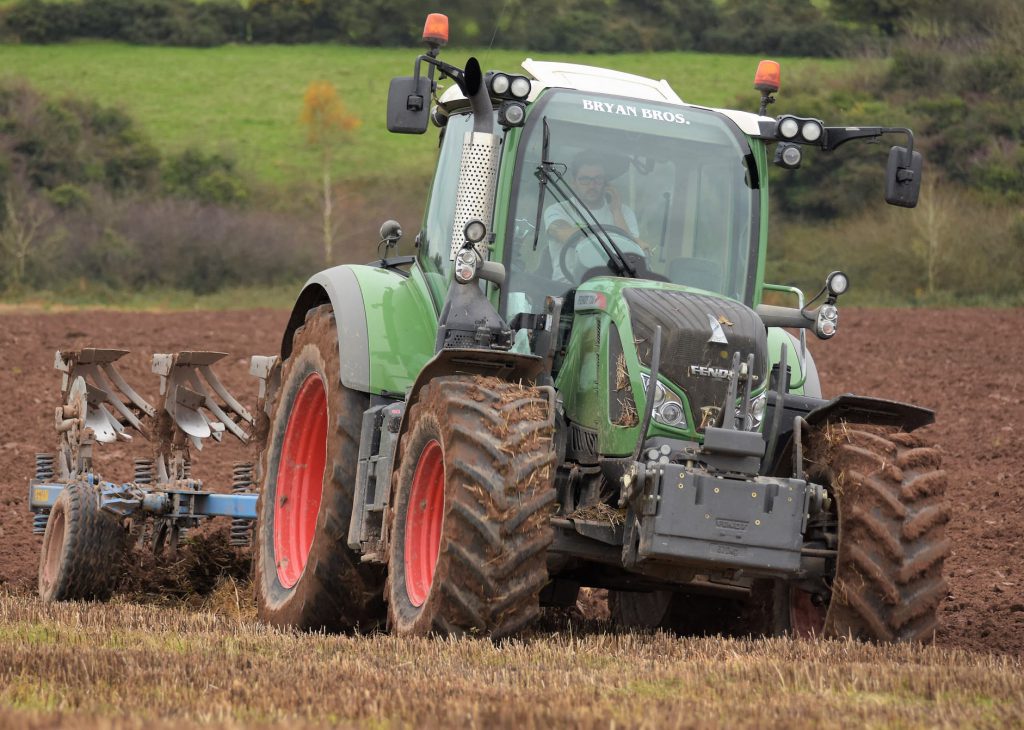 Image source: Shane Casey