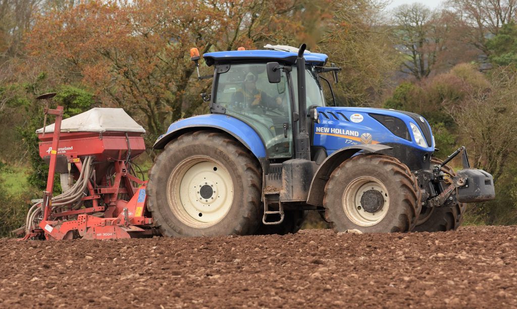 Image source: Shane Casey