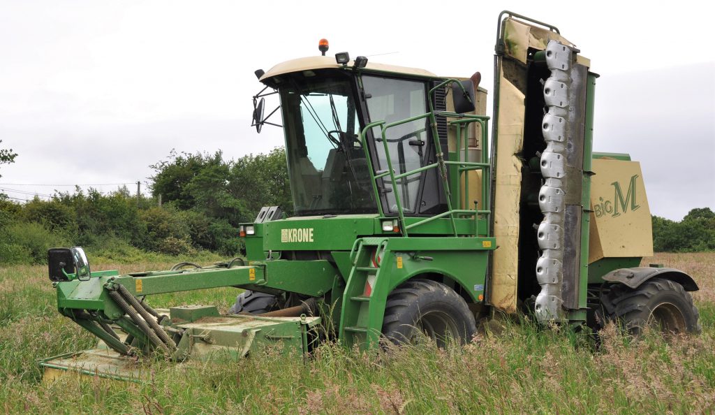 Image source: Shane Casey