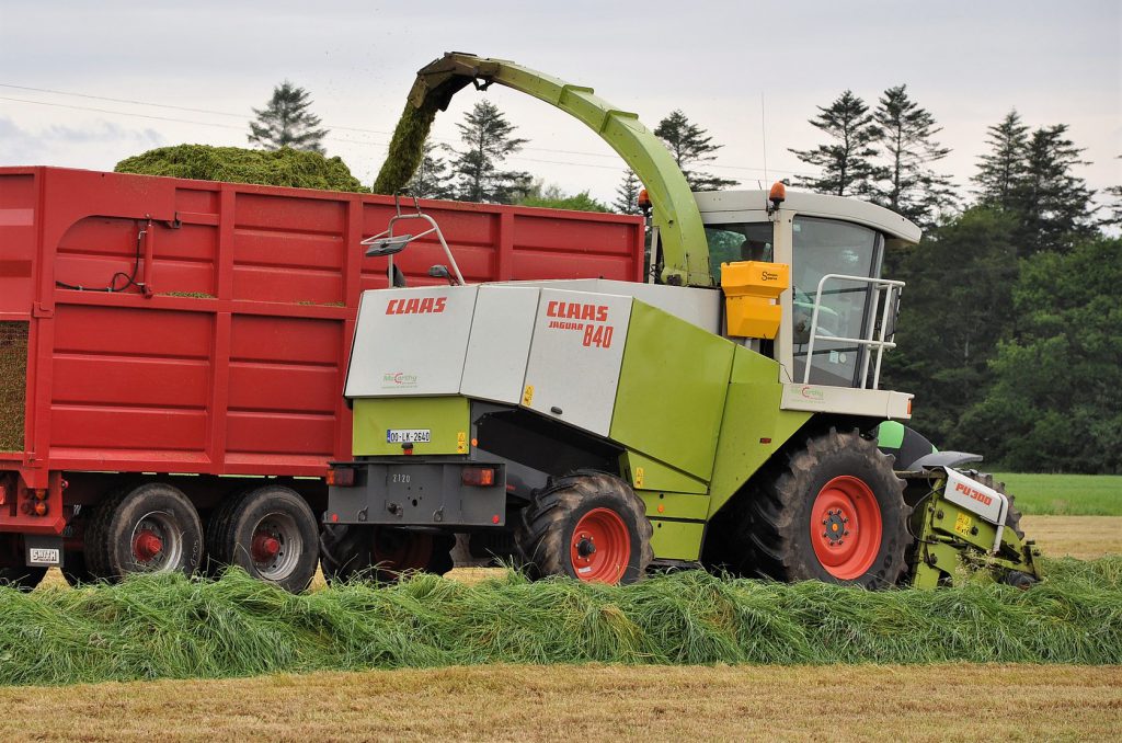 Image source: Shane Casey