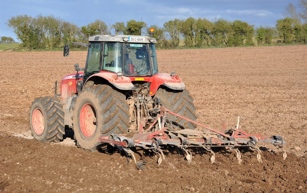 Image source: Shane Casey