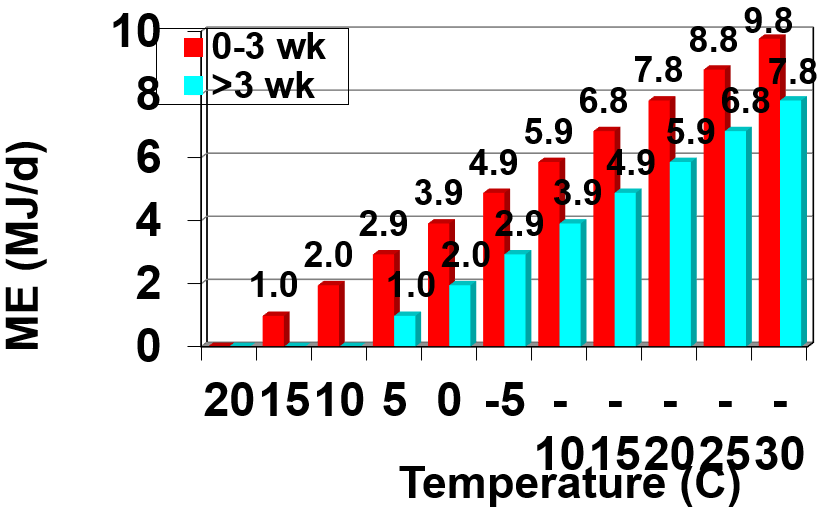 Extra energy requirements of young calves as temperature falls