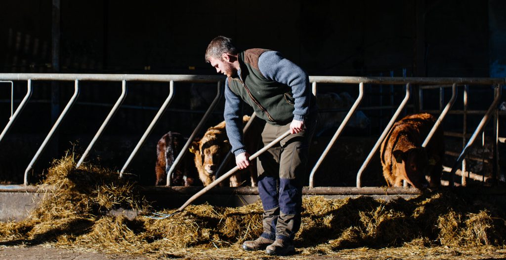 Irish rugby international Sean O’Brien