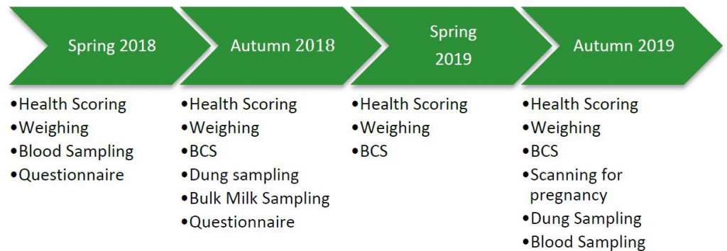 Timeline of farm visits. Image source: Teagasc