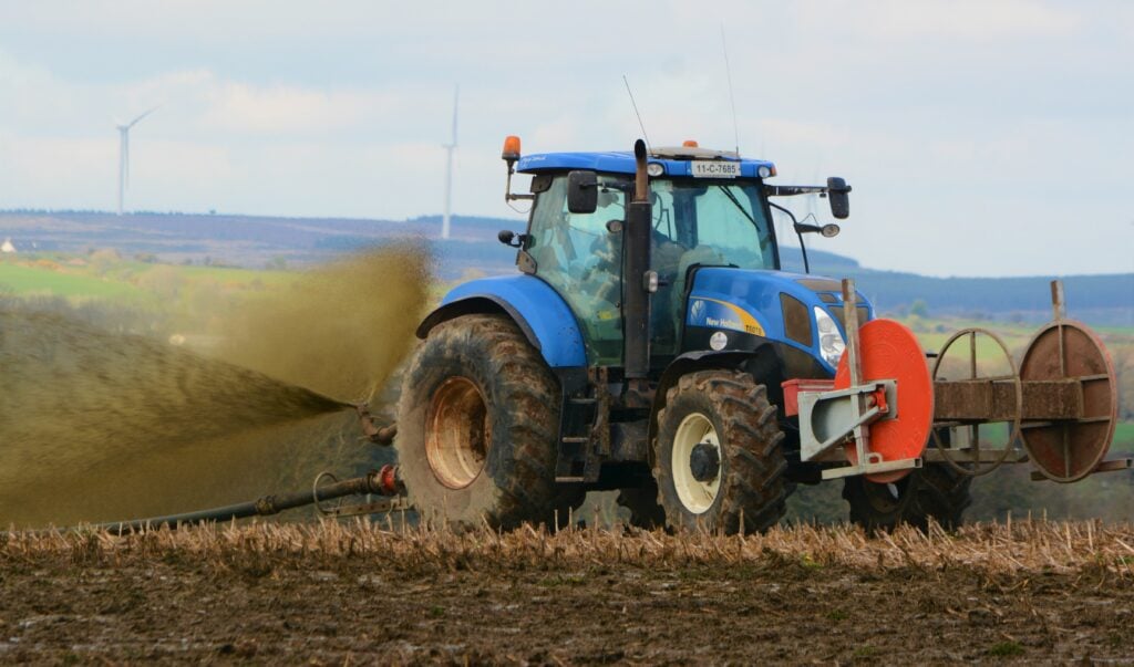 Image source: Shane Casey