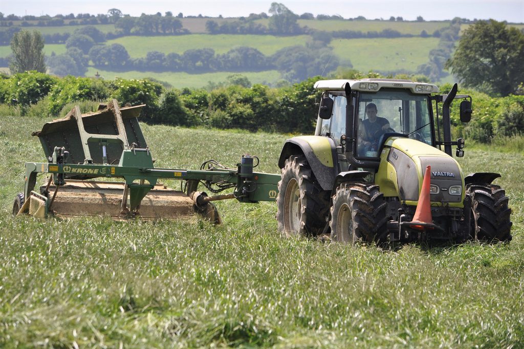 Image source: Shane Casey