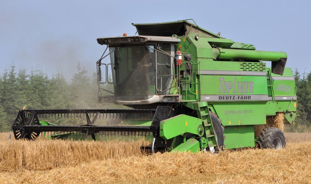 Image source: Shane Casey