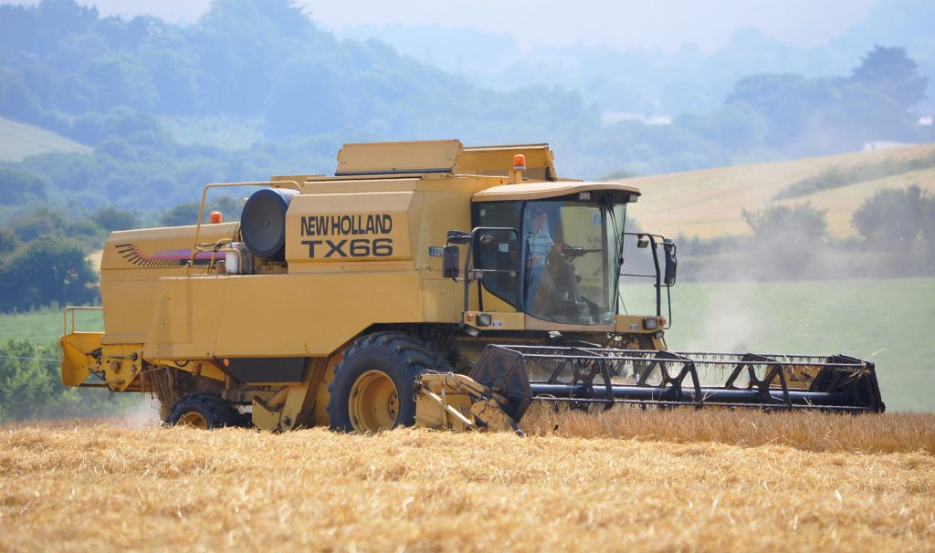 Image source: Shane Casey