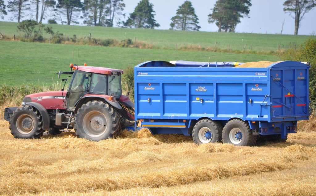 Image source: Shane Casey