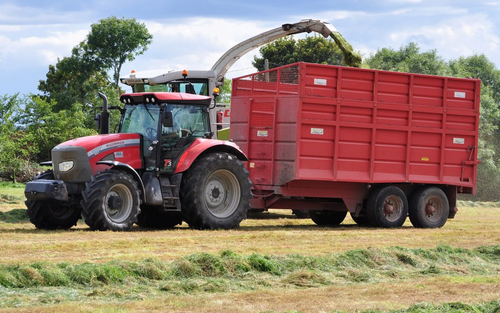 Image source: Shane Casey