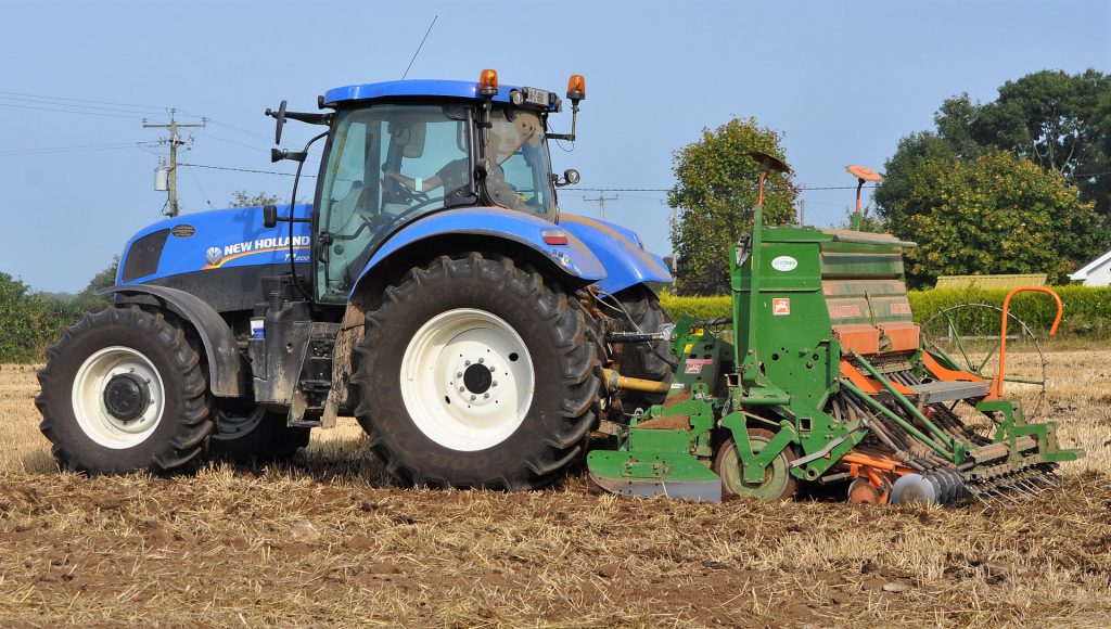 Image source: Shane Casey