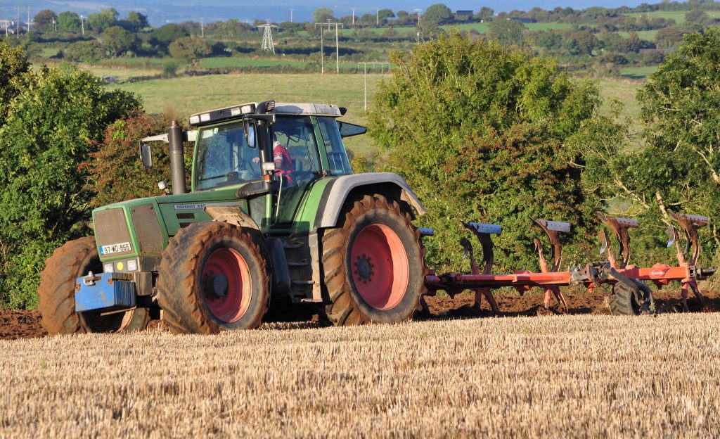 Image source: Shane Casey