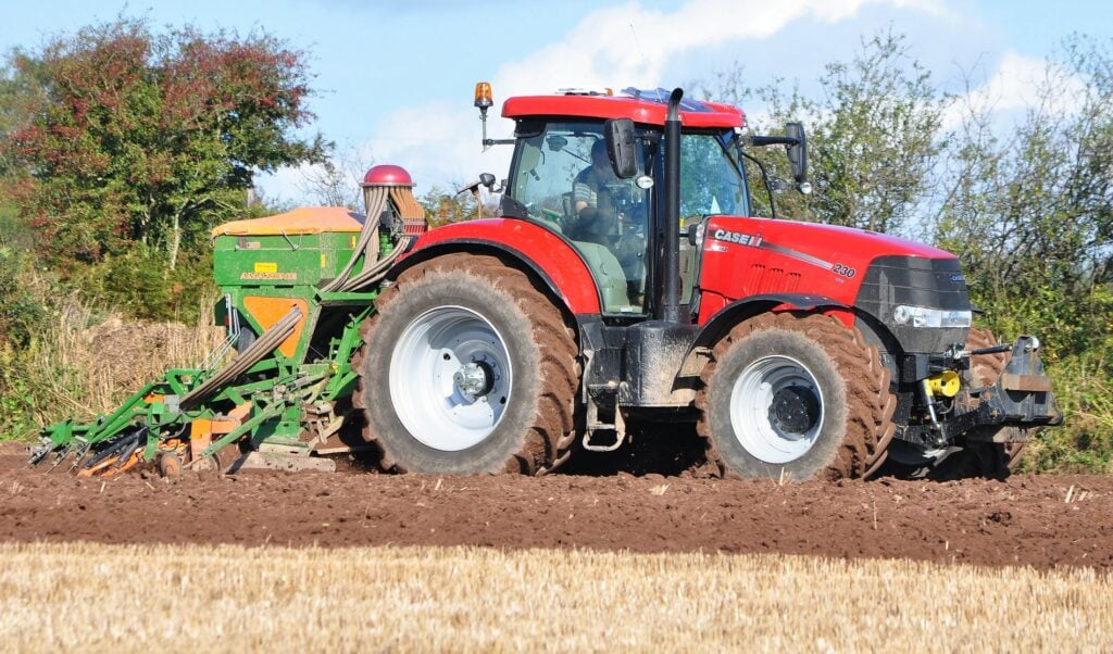 Image source: Shane Casey