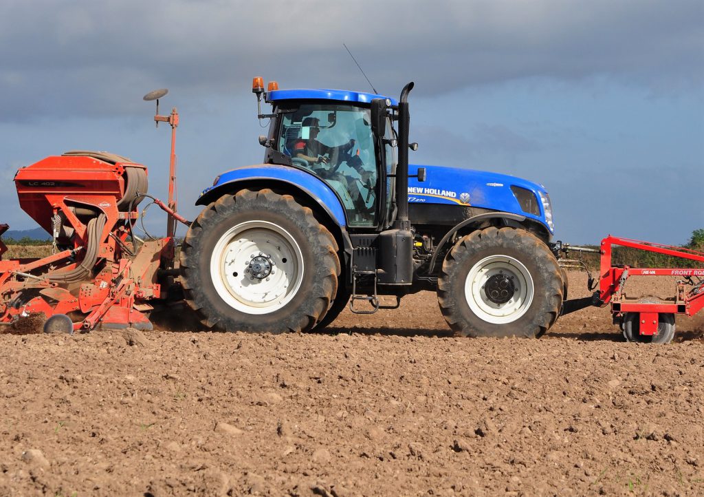 Image source: Shane Casey