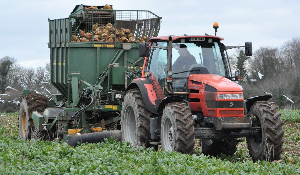 Image source: Shane Casey