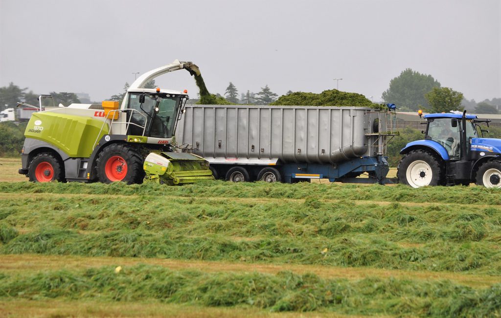 Image source: Shane Casey