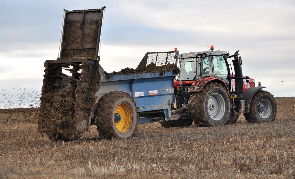 Image source: Shane Casey