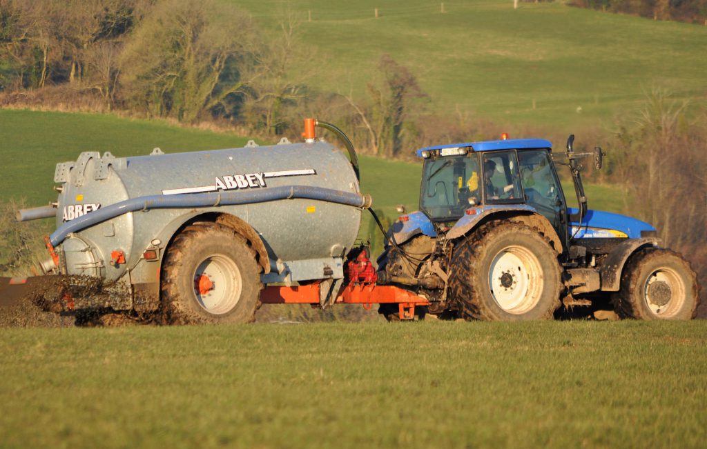 Image source: Shane Casey