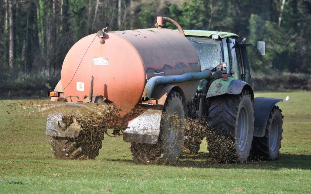 Image source: Shane Casey