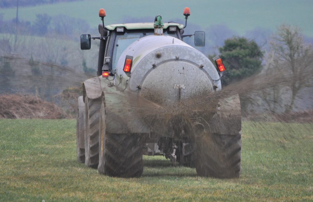 Image source: Shane Casey