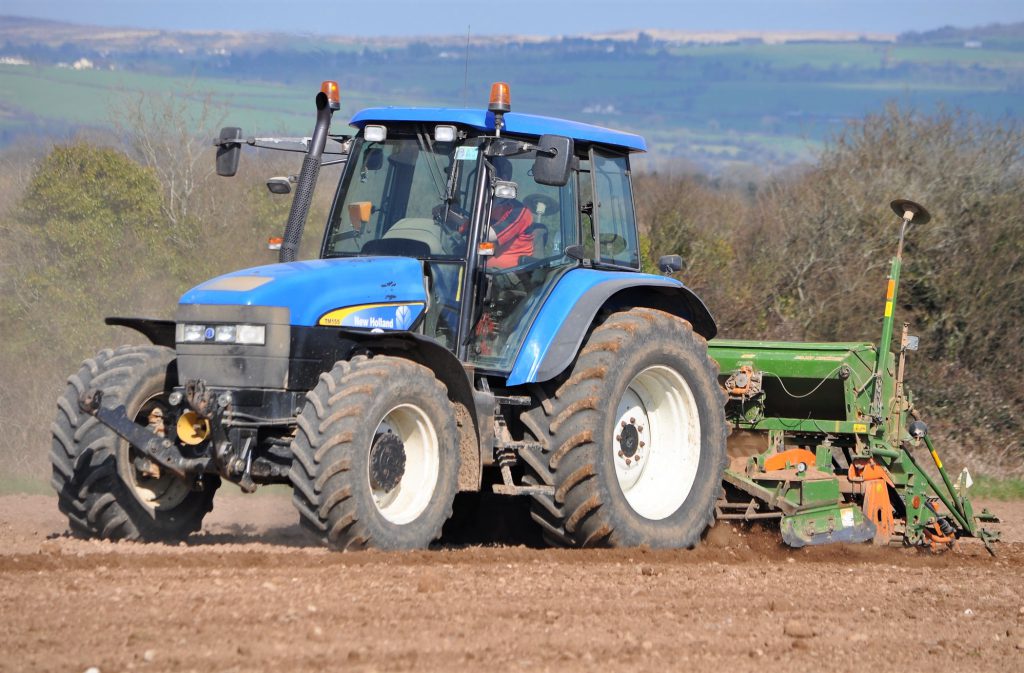 Image source: Shane Casey