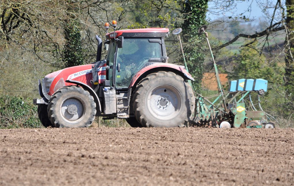 Image source: Shane Casey