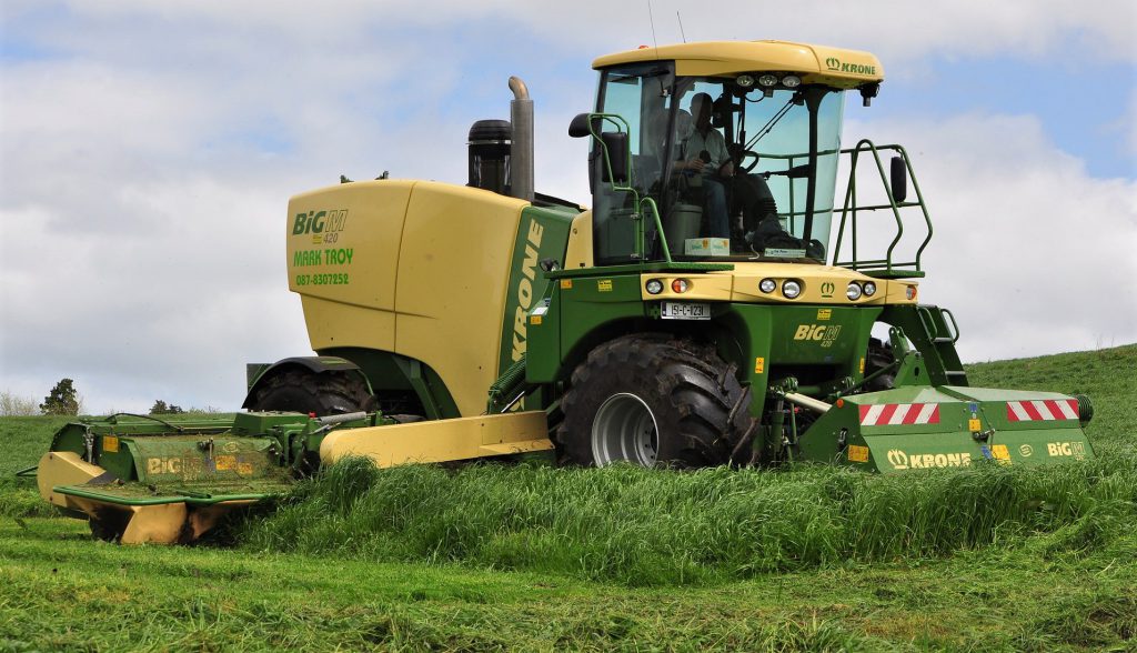 Image source: Shane Casey